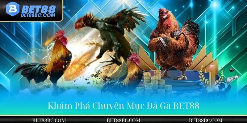 Khám phá chuyên mục đá gà bet88