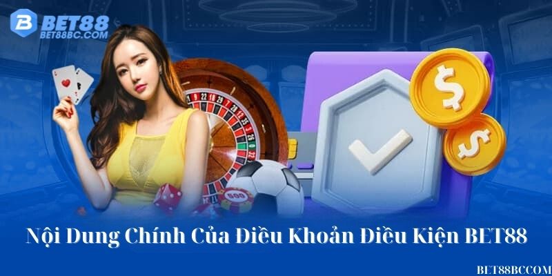 nội dung chính của điều khoản điều kiện