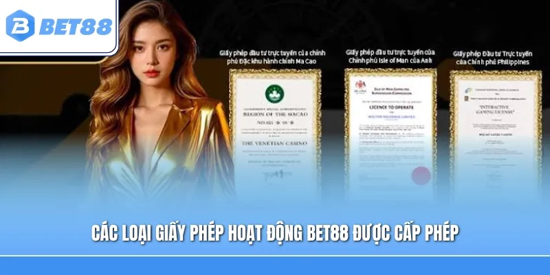 Các loại giấy phép hoạt động Bet88 được cấp phép